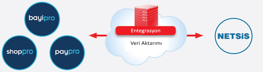 netsis entegrasyon