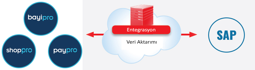 sap entegrasyon